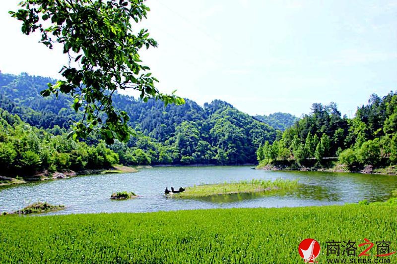 水清山綠天藍(lán)的丹江上游濕地