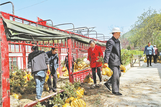 綠化美化鄉村環境 建設生態宜居家園