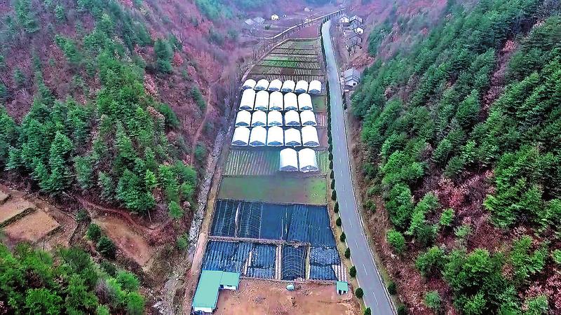 落魄過客 轉眼成貧困村致富領路人